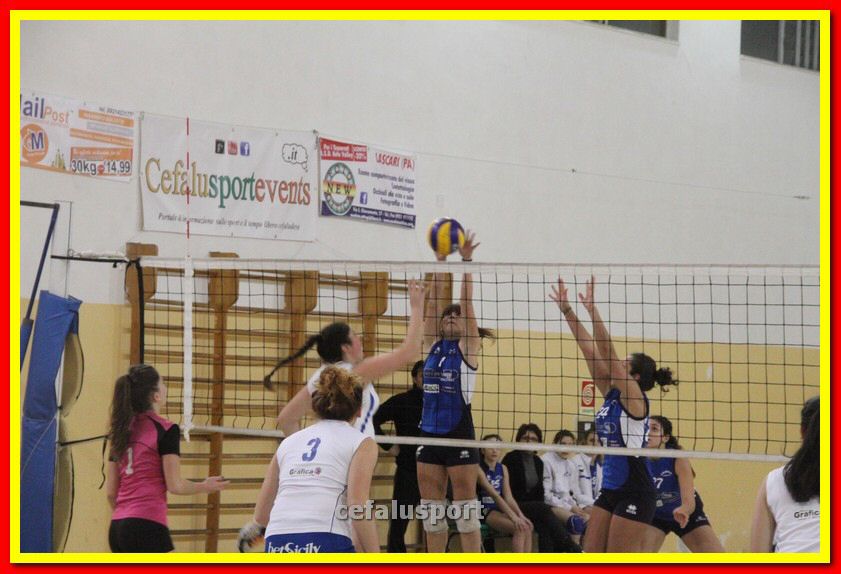 140305 Primula 103_tn.jpg
